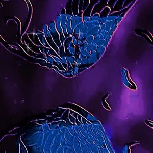 Meet your Posher, Angelina